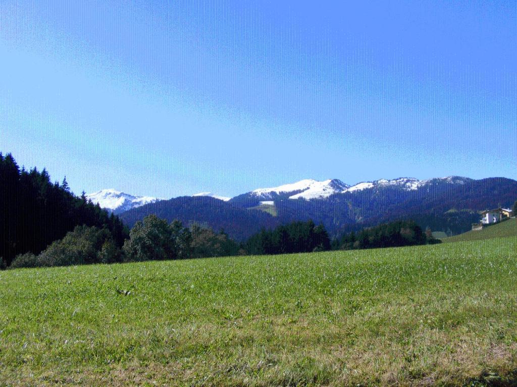 Landgasthof Dorferwirt Оберау Номер фото